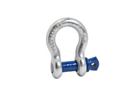 2 Pack 5/8" Galv  Bow Shackle D-Ring Lift Tow w 3/4" Clevis Screw Pin Blue
