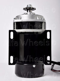 1000W 48 V DC GEAR Reduction electric motor+Reverse capable Controller