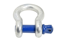 Open Box 7/8" D Ring Bow Shackle Screw w Blue Pin Clevis Rigging Towing 6.5 Ton