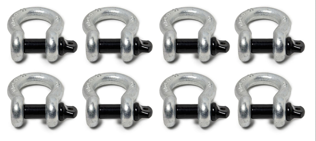 Lot of 8 Premium Nickel D-Ring 3/4" Bow Shackle Black Screw Pin 10500 LB Jeep CJ