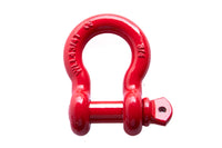 3/4" Red D-Ring Bow Shackle 10500LB w Blue Plastic noise vibration Protector