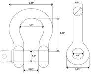 10x 1/2" Galvanized Bow Shackle w Clevis Screw Pin 2 TON 4400 lbs capacity