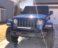 3/4" Blue D-Ring Bow Shackle 10500LB w Blue Plastic noise vibration Protector