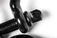 x10 OPEN BOX 5/8" Black Bow Shackle s D-Ring w3/4" Clevis Screw Pin WLL 7000 lbs
