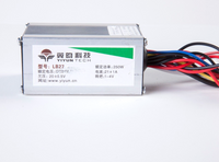 250 Watt 24 Volt Controller box & Foot Pedal Throttle f Go-Kart electric motor