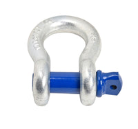 4x 7/8" Bow Shackle D-Ring Zinc Plated w Blue 1" Clevis Screw Pin 14000 lbs