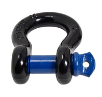 Black/Blue 3/4" D-Ring Bow Shackle 10500lbs Pin 4.75 Ton Jeep CJ Rigging Tow
